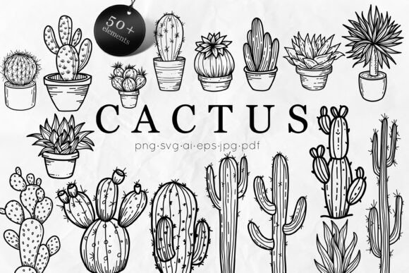 Download Cactus SVG Bundle | Succulent Line Art - Bundle Collection